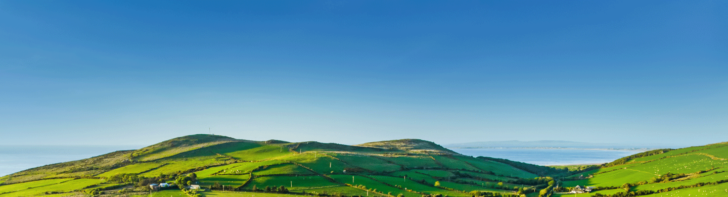 Grassland in Ireland